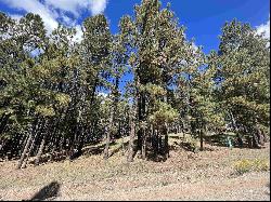 Lot 25 Valley Road, Angel Fire NM 87710