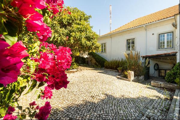Charming 3-bedroom apartment with garden in the historic centre of Cascais, Lisbon. 
