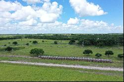 837+/- Acres Driftwood Ranch, Live Oak County, Three Rivers, TX 78071