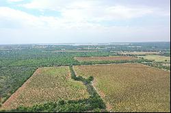 837+/- Acres Driftwood Ranch, Live Oak County, Three Rivers, TX 78071