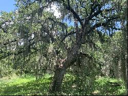 837+/- Acres Driftwood Ranch, Live Oak County, Three Rivers, TX 78071