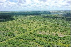 837+/- Acres Driftwood Ranch, Live Oak County, Three Rivers, TX 78071