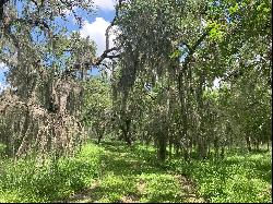 837+/- Acres Driftwood Ranch, Live Oak County, Three Rivers, TX 78071