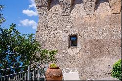 Basilico - Gorgeous watchtower with sea views