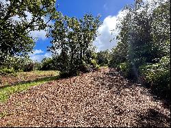 Laupahoehoe Homesteads lot 30, Papaaloa, HI 96780