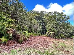 Laupahoehoe Homesteads lot 30, Papaaloa, HI 96780