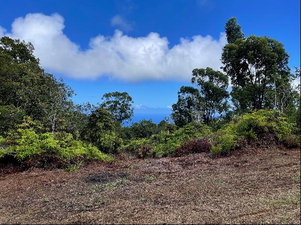 Laupahoehoe Homesteads lot 30, Papaaloa, HI 96780