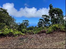 Laupahoehoe Homesteads lot 30, Papaaloa, HI 96780