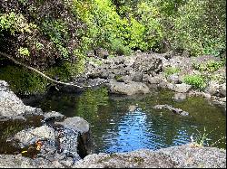 Laupahoehoe Homesteads lot 30, Papaaloa, HI 96780