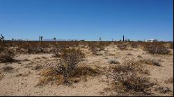 "Shovel-Ready" Sprawling View Lot in North Joshua Tree