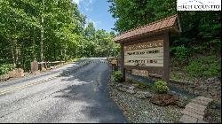 Lot 90 Woodpecker Road, Purlear NC 28665