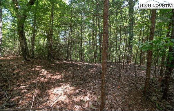 Lot 88 Woodpecker Road, Purlear NC 28665