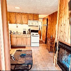 226 S Hwy 143 Unit 13B, Other UT 84719