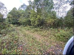 TBD Bandy Rd / Whitaker Ridge area #na, Bandy VA 24602