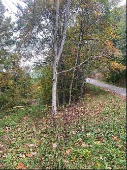 TBD Bandy Rd / Whitaker Ridge area #na, Bandy VA 24602