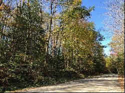 Rare Opportunity! Prime Otis Woodlands Lot Available!