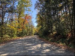 Rare Opportunity! Prime Otis Woodlands Lot Available!