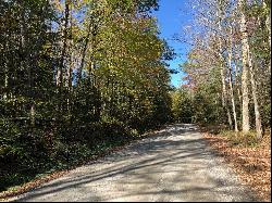 Rare Opportunity! Prime Otis Woodlands Lot Available!