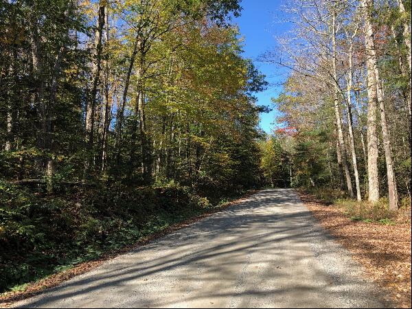 Rare Opportunity! Prime Otis Woodlands Lot Available!