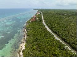 North East Coast Ocean Front Land