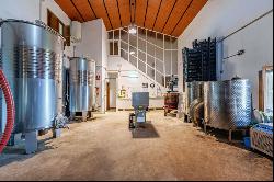 Excellent investment opportunity: well-established winery in Mal, Malaga 29001