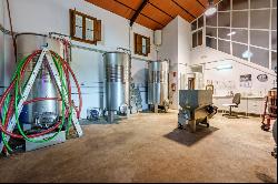 Excellent investment opportunity: well-established winery in Mal, Málaga 29001