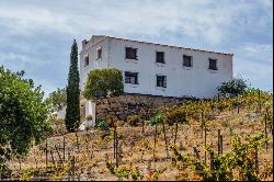 Excellent investment opportunity: well-established winery in Mal, Málaga 29001