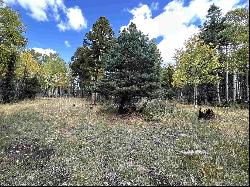 Lot 1174 Cheerful Way, Angel Fire NM 87710