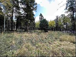 Lot 1174 Cheerful Way, Angel Fire NM 87710