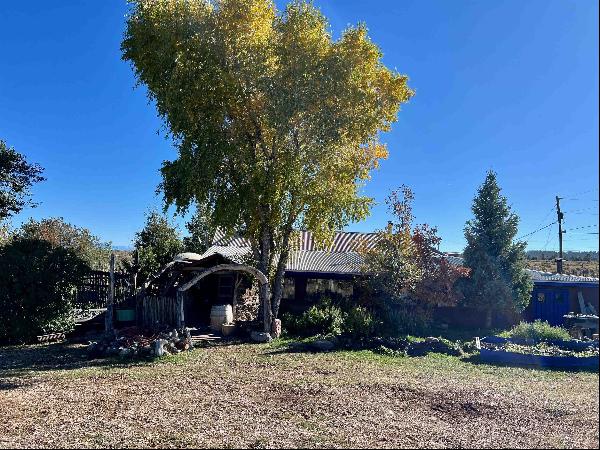 14 Sagebrush Road, Tres Piedras NM 87577