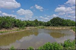 396+/- acres Quihi Oaks Ranch , Rio Medina, TX 78861