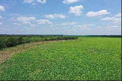 396+/- acres Quihi Oaks Ranch , Rio Medina, TX 78861