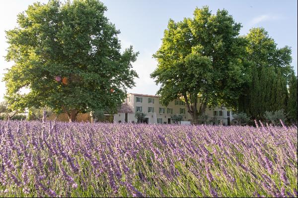 L Isle Sur La Sorgue