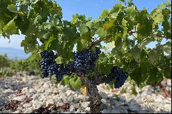 Plot with vineyard on Hvar