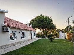 4 Bedroom Farm, Palmela