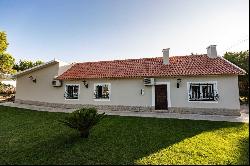 4 Bedroom Farm, Palmela