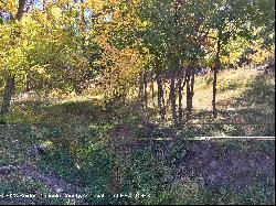 205-209 Flume Canyon Drive, Ruidoso NM 88345