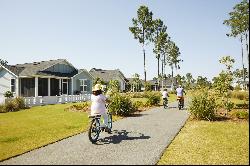 TBD Pollard Cove West #Lot 51, Inlet Beach FL 32461