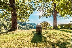 Investment - Vineyard in Baden-Baden