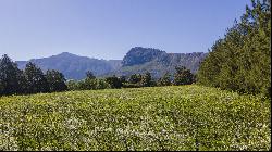 COUNTRY LIVING AT ITS BEST CLOSE TO NATURE