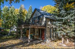 Mountain Modern Home in the Town of Crested Butte