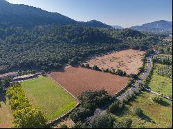 Exclusive Finca to reform in Cala Sant Vicente Pollensa