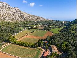 Exclusive Finca to reform in Cala Sant Vicente Pollensa