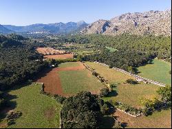 Exclusive Finca to reform in Cala Sant Vicente Pollensa