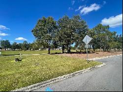 Lot 5 Parkside Street, Freeport FL 32439