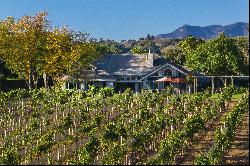 Santa Ynez Valley Vineyard Lifestyle