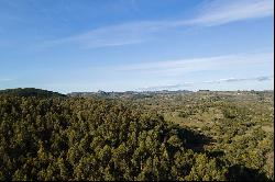 Farm in Pueblo Edén.