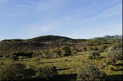 Farm in Pueblo Eden.