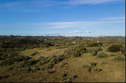 Farm in Pueblo Eden.