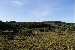 Farm in Pueblo Eden.